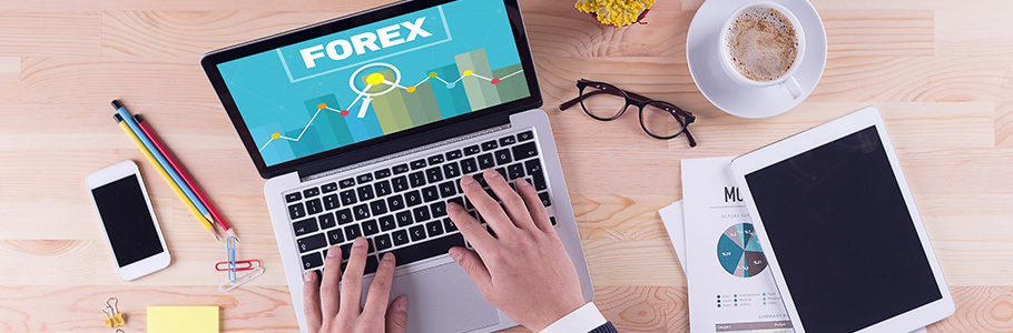 Important trading rules each Forex newbie should consider