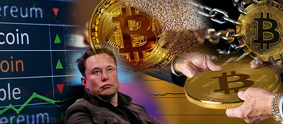 Crypto Enthusiasts Join to Crash Elon Musk's Influence