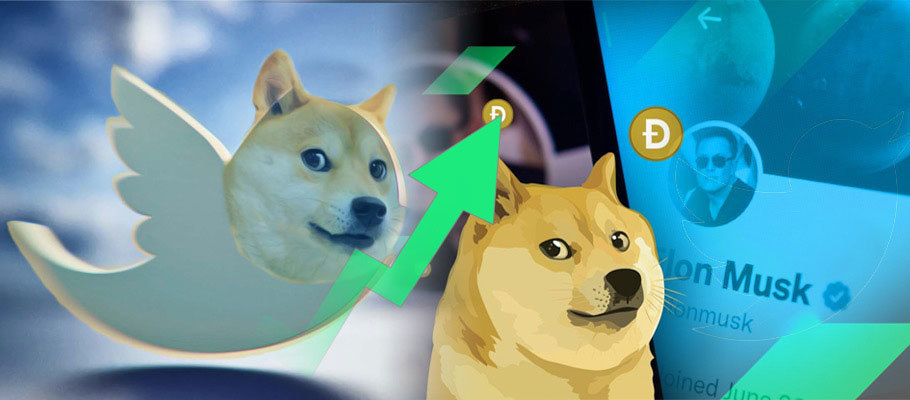 Dogecoin Surges Again in Latest Twitter-Driven Price Spike