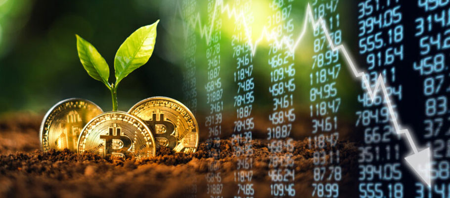 Bitcoin's Grassroots Growth Grinds to a Halt: Wallets With More Than 0.1 BTC Unchanged for Two Years