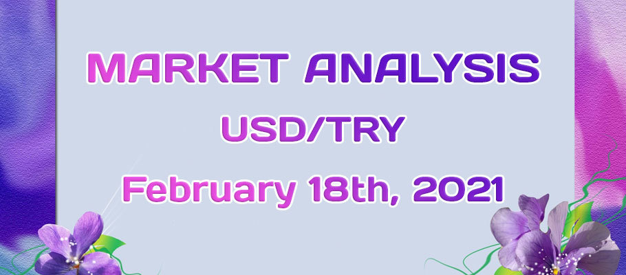 Price Outlook for USD/TRY (US Dollar/Turkish Lira) in the First Quarter of 2021