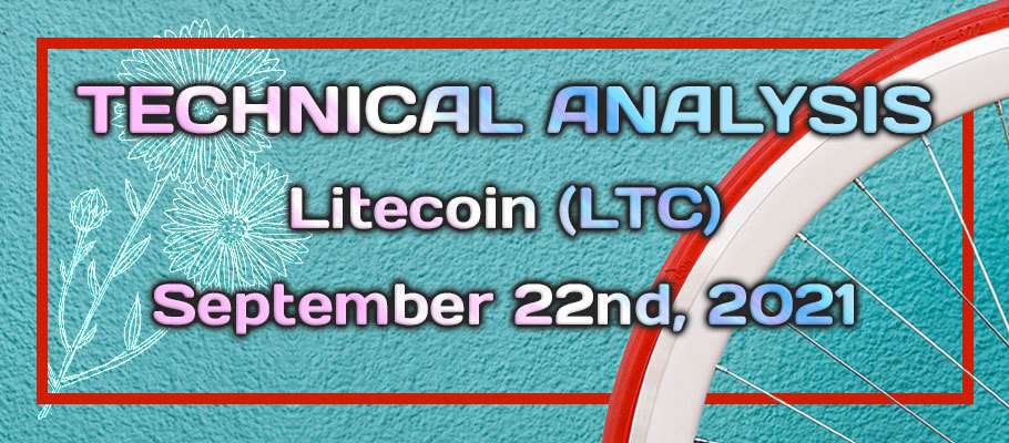 Litecoin's Post-Artificial Surge – Where the Price is Heading?