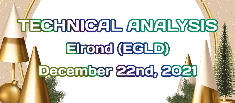 Elrond (EGLD) Reached $225.00 Key Support Level – Is It Too Late to Buy?