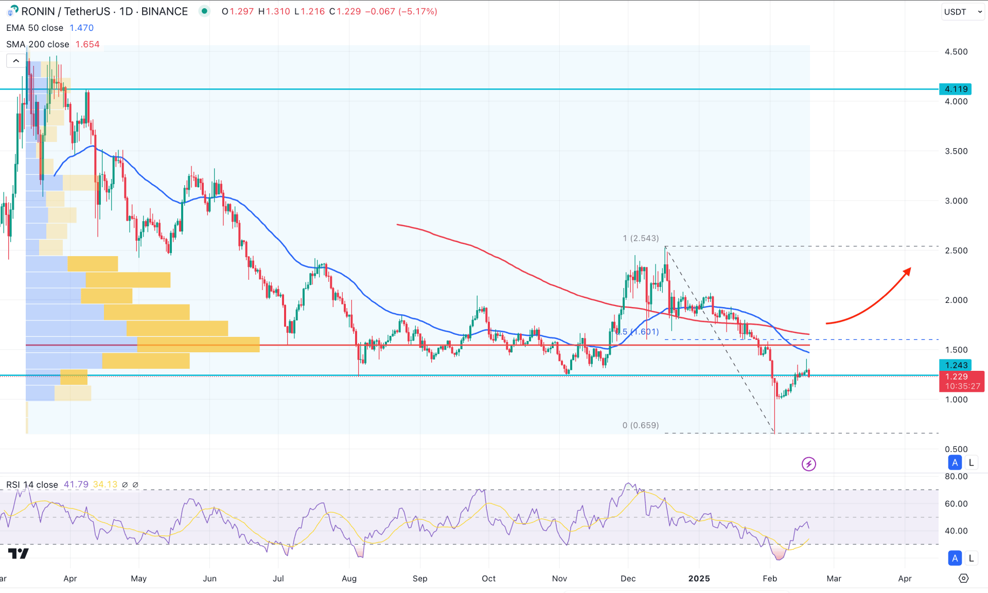 RONIN Token Daily Chart Technical Analysis 18th February 2025