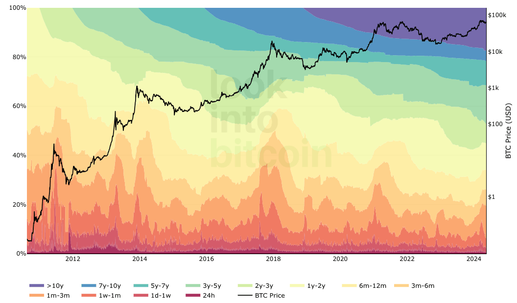 bitcoin hodl waves